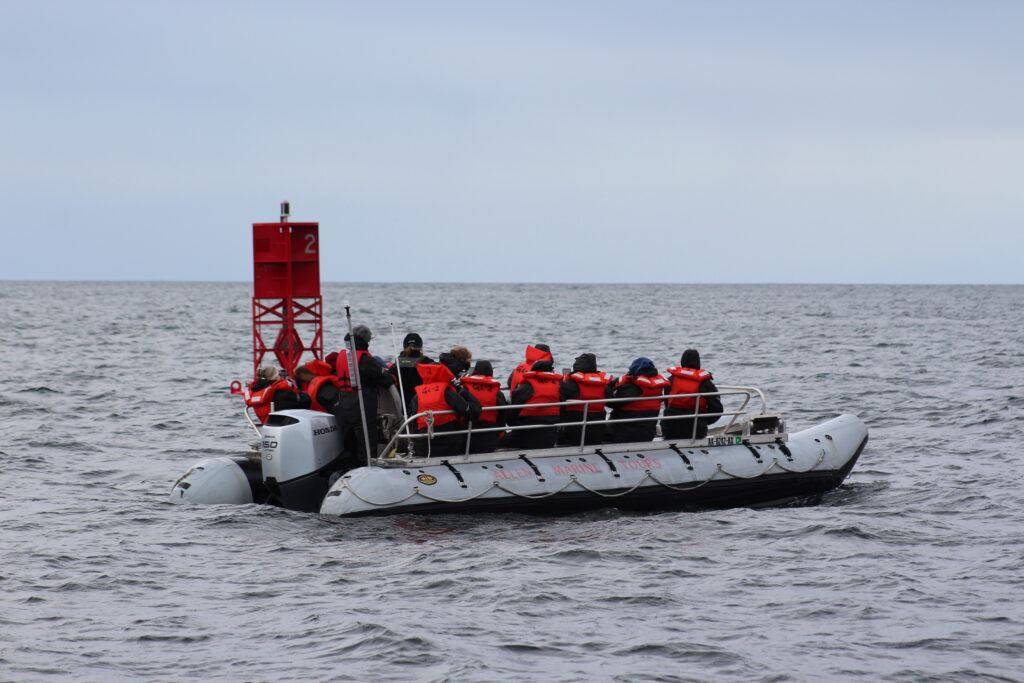 Wildlife Viewing in Sitka Alaska
