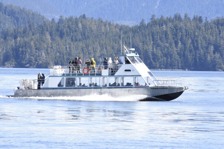 Wildlife Quest in Sitka Alaska