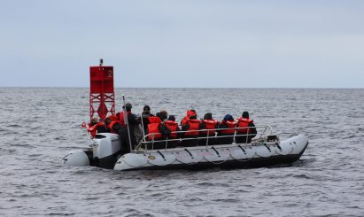 Wildlife Viewing in Sitka Alaska