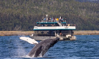 Whale on tour in Juneau Alaska - with Allen Marine Tours boat in background